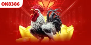 Đá Gà Thomo Là Gì?