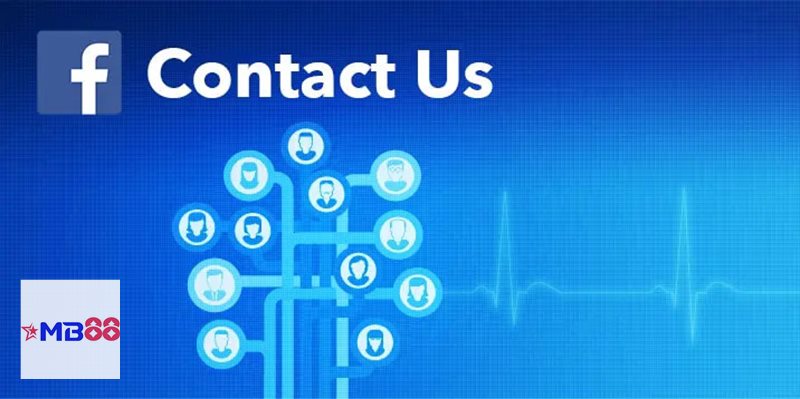 Liên Hệ MB888 - Tiếp nhận góp ý và phản hồi dịch vụ
