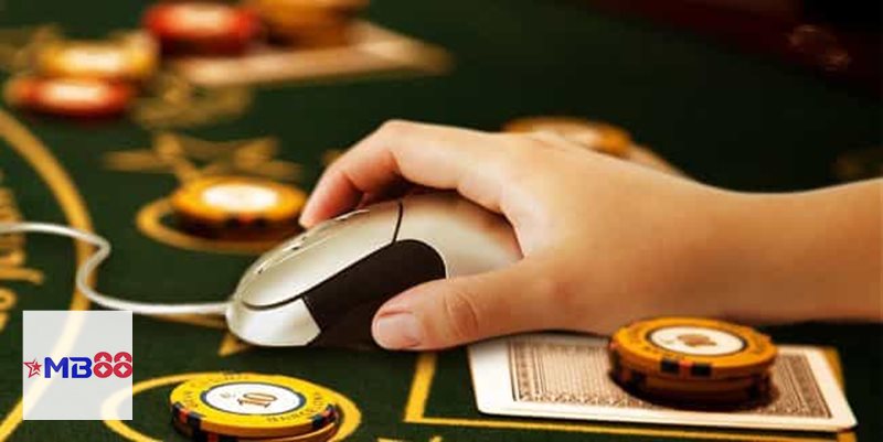 Giấy Phép Hợp Pháp - Hiểu đúng về vai trò của yếu tố pháp lý