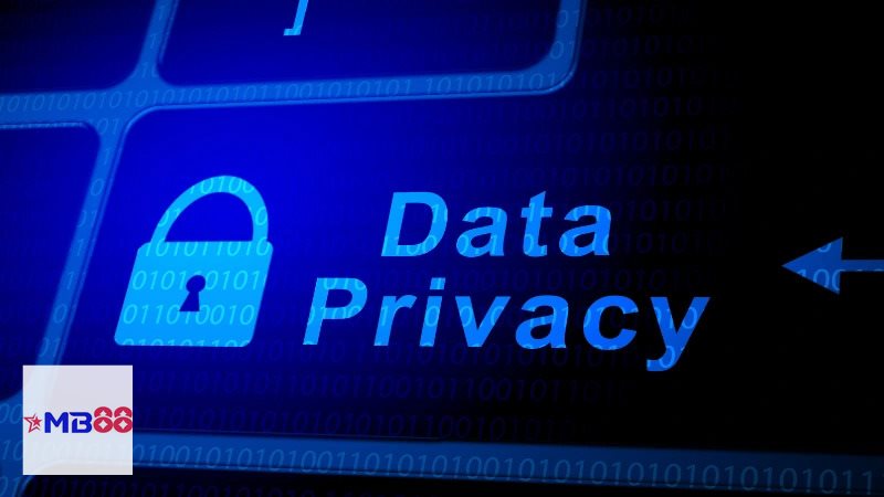 Chính Sách Bảo Mật - Những loại dữ liệu có thể được ghi nhận