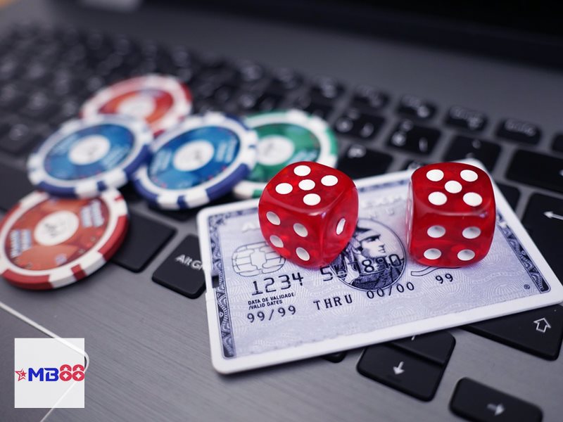 Luật chơi Rồng Hổ - Tốc độ trận đấu và thời gian xuống tiền Luật chơi Rồng Hổ - Tốc độ trận đấu và thời gian xuống tiền