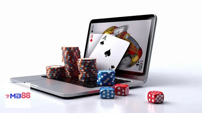 Luật chơi Rồng Hổ - Vì sao người mới nên học luật trước khi đặt cược Luật chơi Rồng Hổ - Vì sao người mới nên học luật trước khi đặt cược