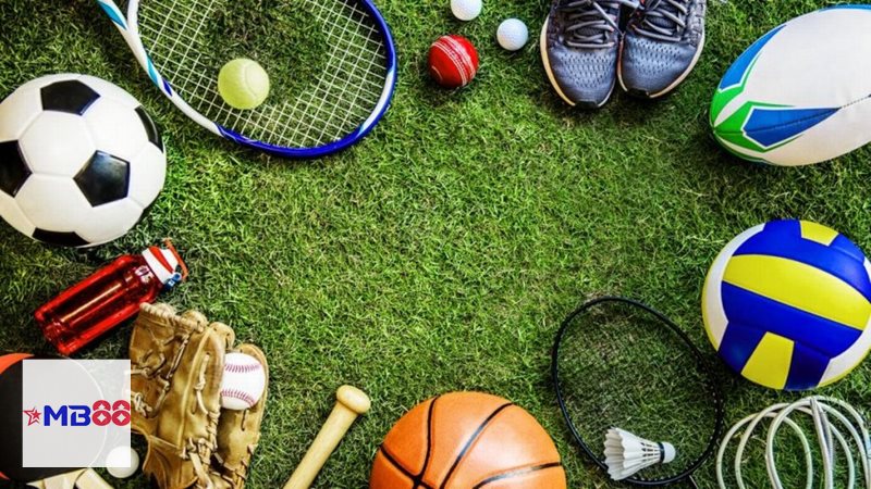 hinh anh the thao 0624456719 amb888vip.world