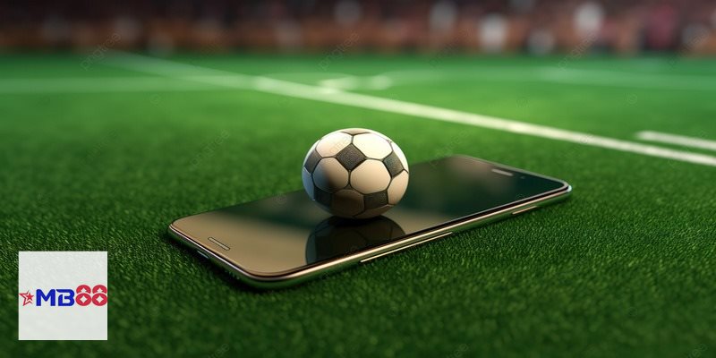 Kèo rung - Kèo rung thẻ phạt